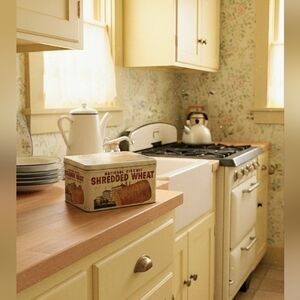 Vintage National Biscuit Shredded Wheat metal tin